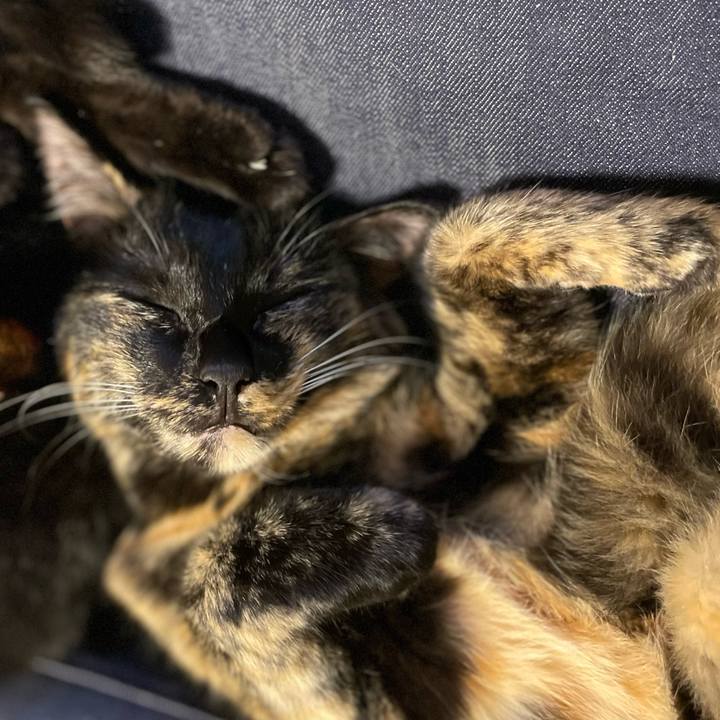 7d8331a8 ced0 43d2 940f adc7cc6d76e5 1662724721828