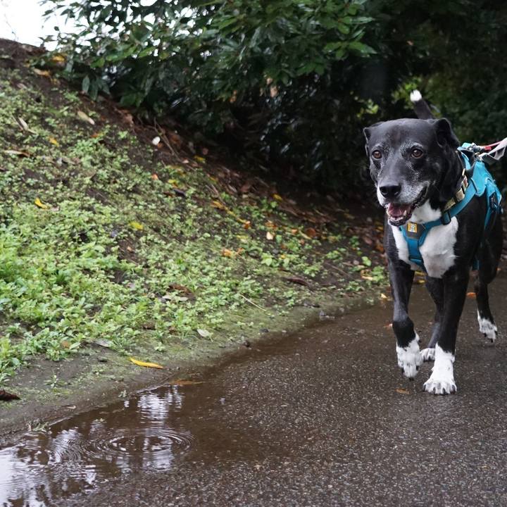 7d834b71 3808 4088 ad18 aecd9e07672e 1761436347372