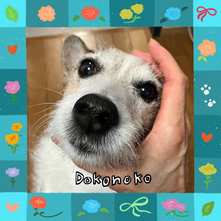 7d835093 7b99 4fab 9d9a 7c989fd67dd6 1715391581546