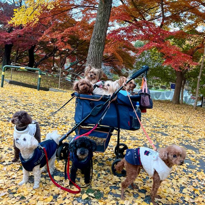 7d8361df 3b35 4120 a04f d62d492f0edc 1763973536021