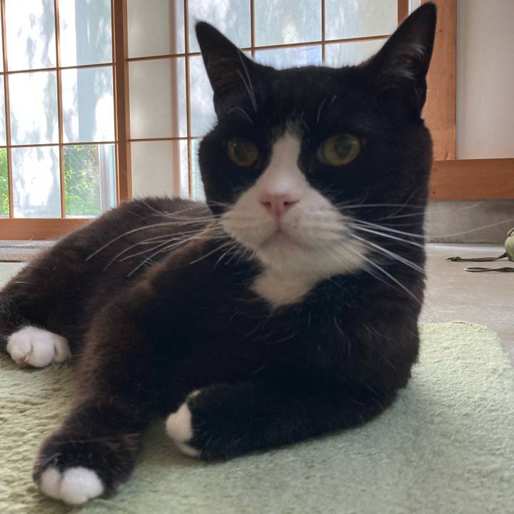 7d8377ba 0db1 4b53 8d3c 3e67c09b190b 1624022313314