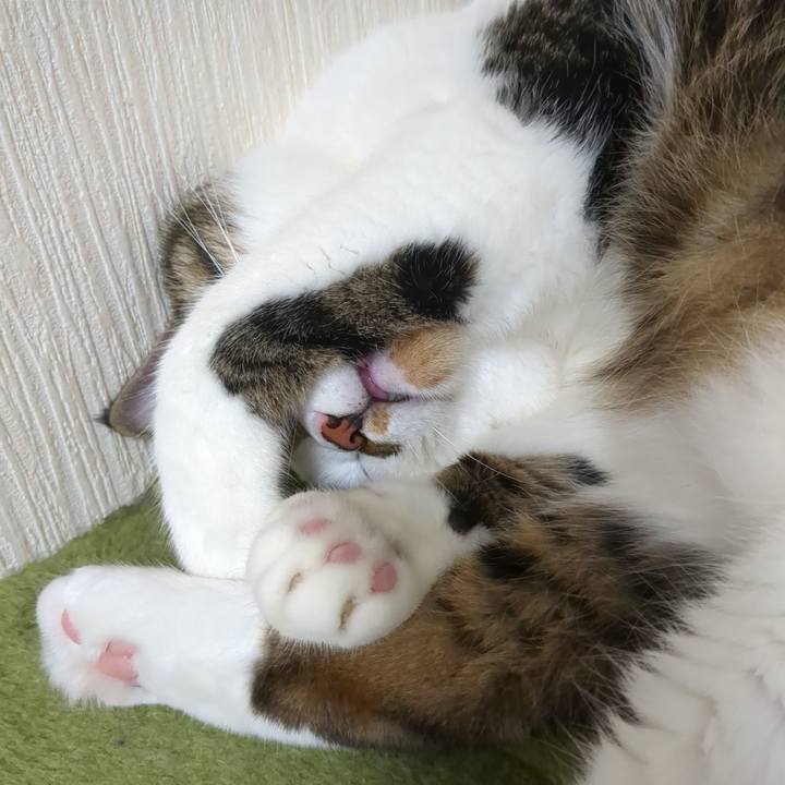 7d83a772 a64b 48d9 b979 9991ca096692 1726554317016