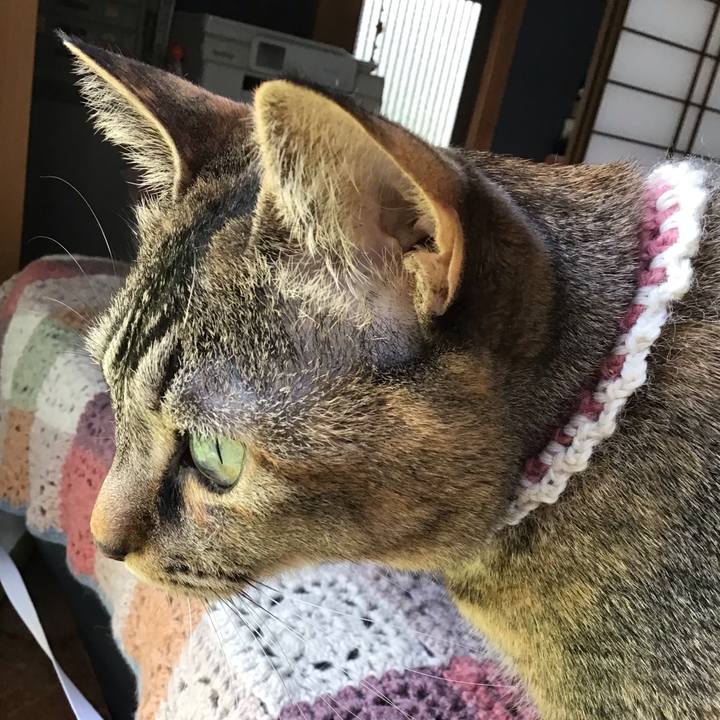 7d83c06c 0b9b 4a12 af12 7733ee5c7a11 1650082936196