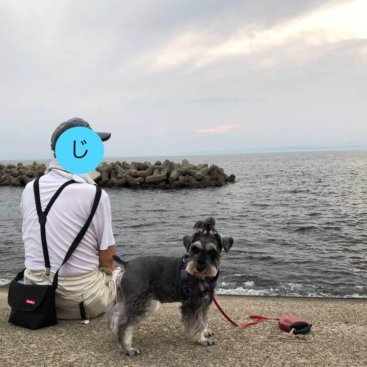 7d83d513 0fd7 463b b47e b749b3625544 1624805754592