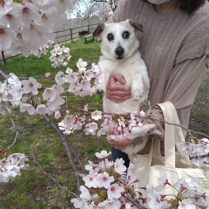 7d83e887 cbe4 4129 8e58 07a78e1b944f 1713260468646