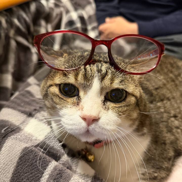 7d84037f dbc4 4256 be93 39380c210640 1770176540688