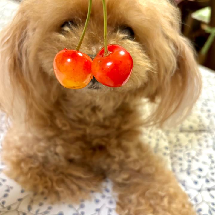 7d84229f ca14 4808 9ad1 162139b794ee 1752305746722