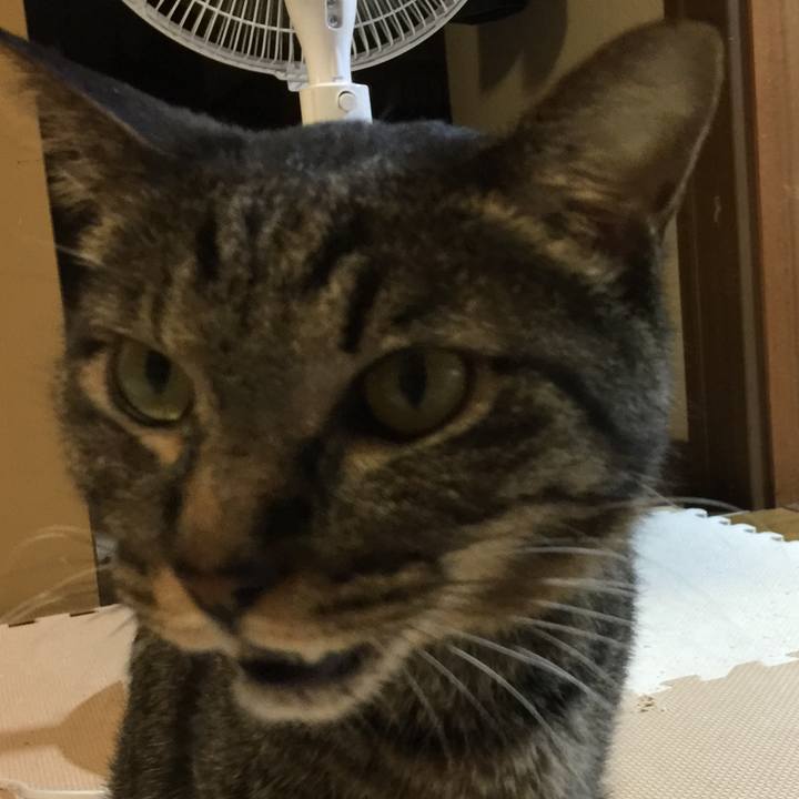 7d843b73 365f 4fb6 8729 574d4dea7b1f 1533554511701