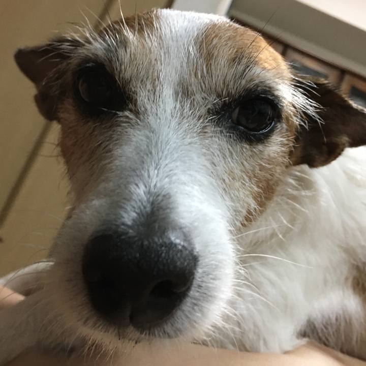 7d8443a8 43df 4143 adda 1b1d0d0a9ea9 1631320515496