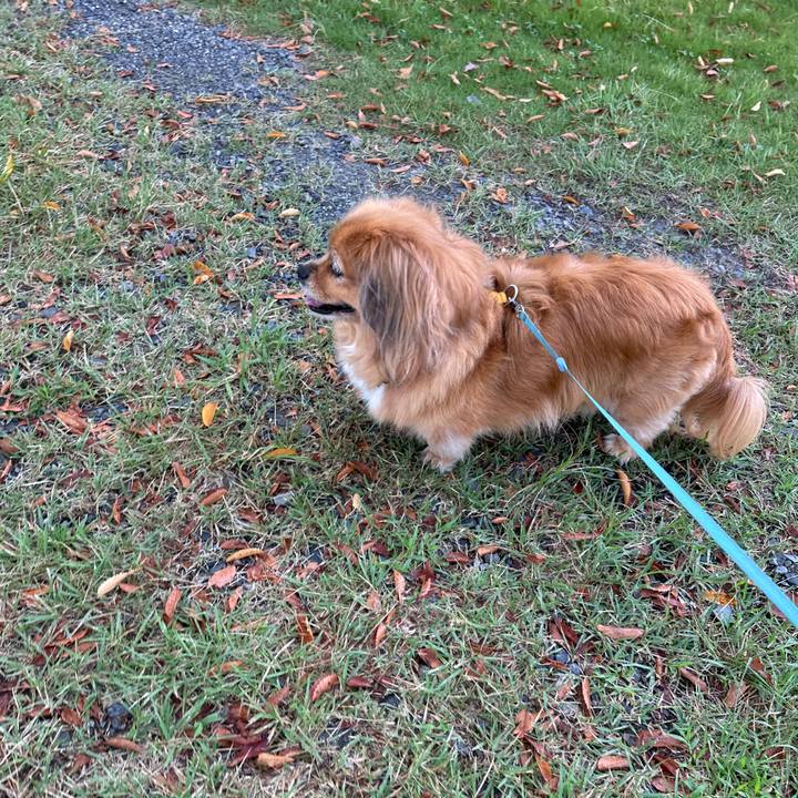 7d846b36 a87e 4b01 b528 25d3b0ae9b14 1757977239492