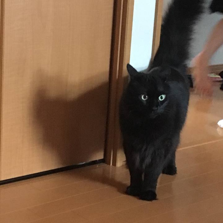 7d846e35 fad8 412b 9c6d 677e9c07778d 1561443788352