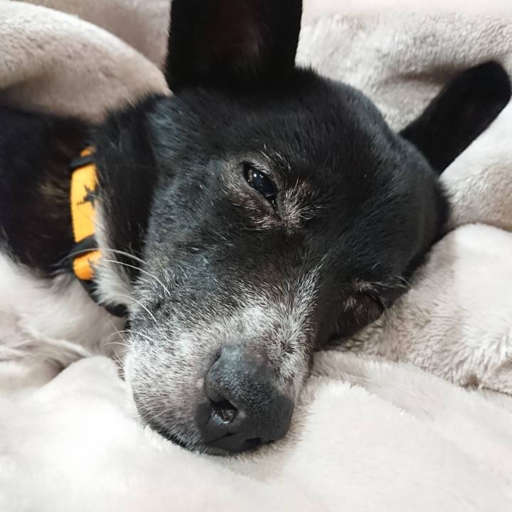 7d847151 0148 41ea b084 f36b257caf12 1647959610822