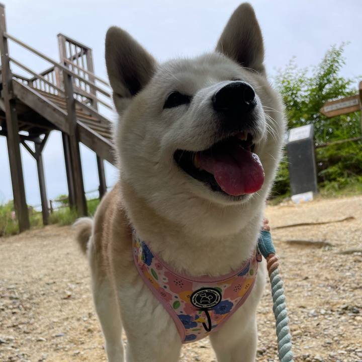 7d849925 bd12 4c51 bb2d d7878f80fe8a 1654397102775