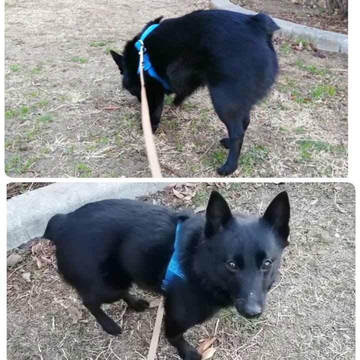 7d849c44 065b 4233 b3af eddb5bfb0d44 1612390925307