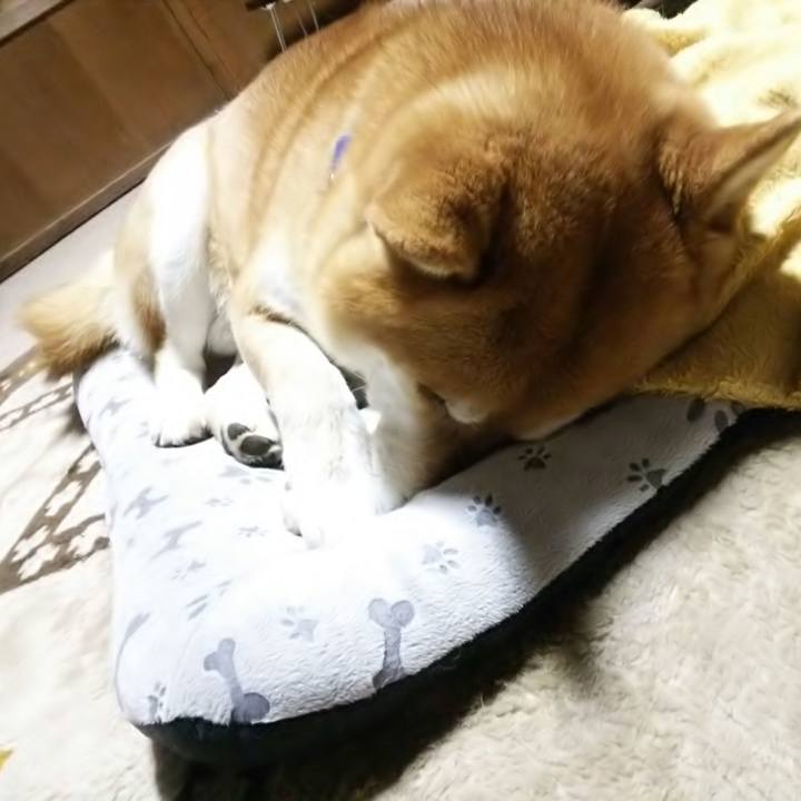 7d84a273 6597 41e4 bcfa 79694e808a3d 1522411869571