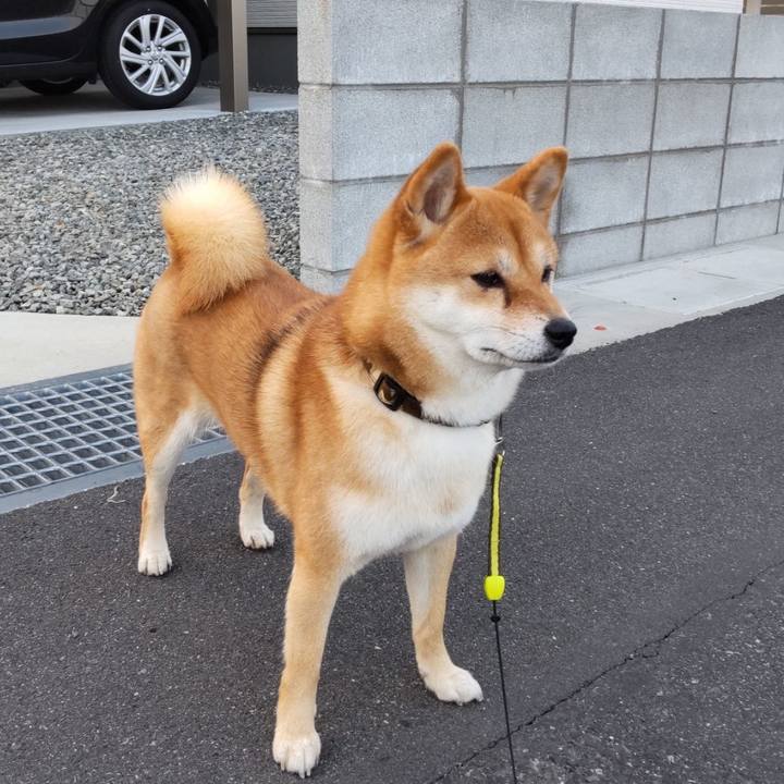 7d84c093 6944 44ff 9629 f0d8629974f1 1765240250825