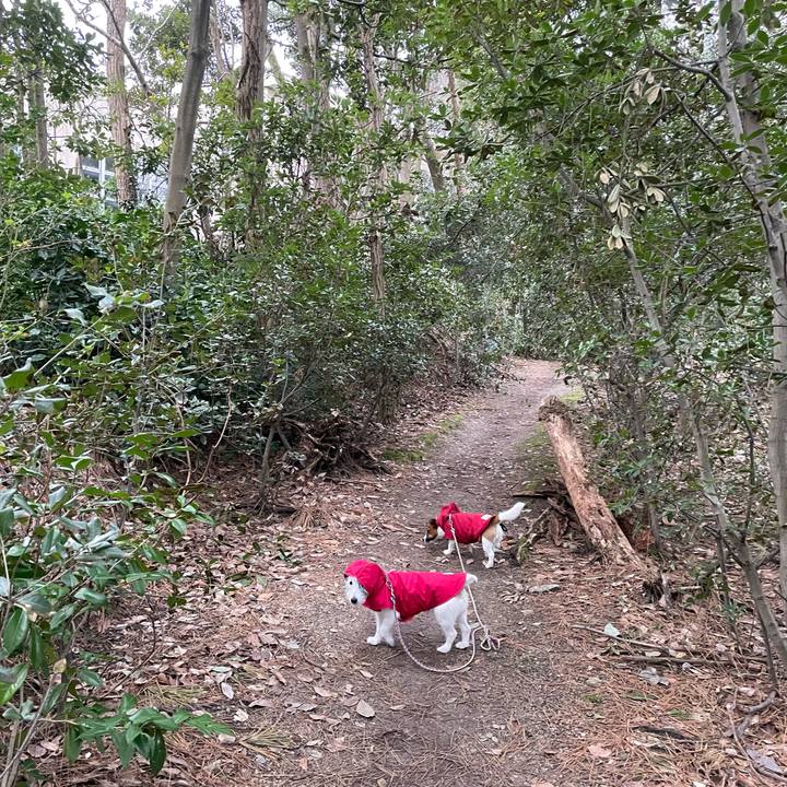 7d850bf0 56ab 45f4 bbb8 45ce7df5e0d1 1648424050011