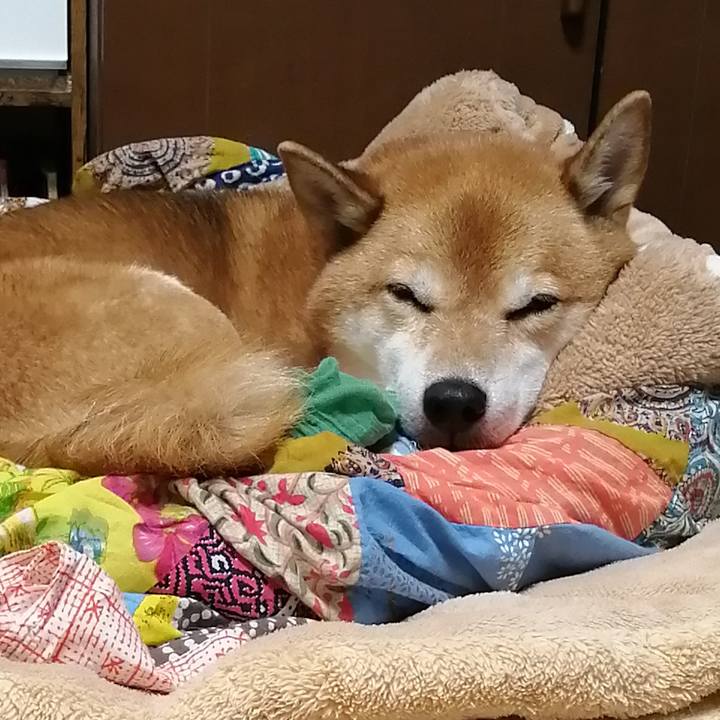 7d854dda eb38 4199 9e4d 0886a6e73ff3 1667398487589