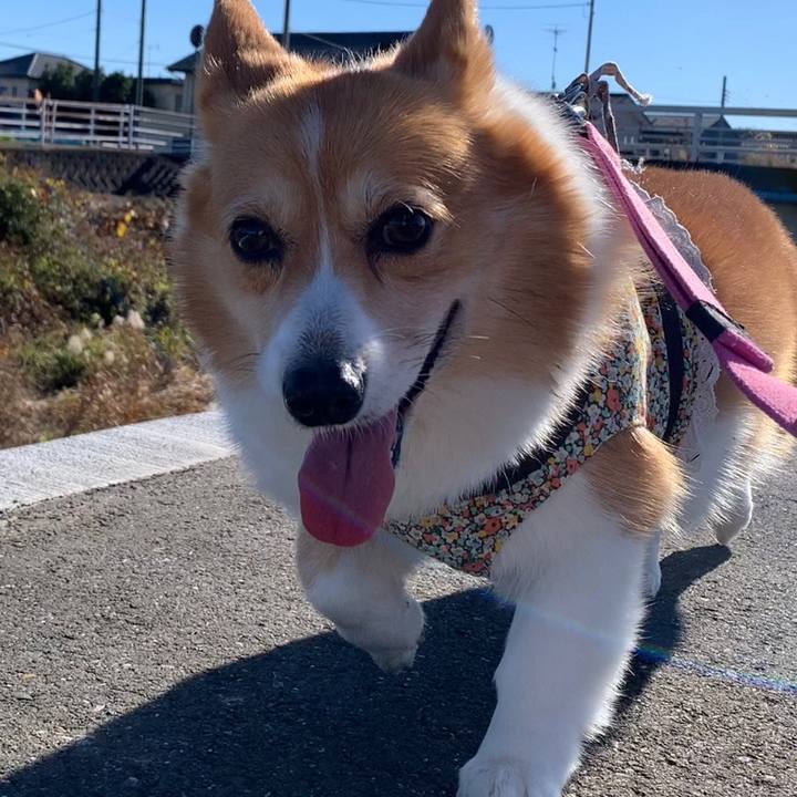 7d8572fd be4b 4715 bbde 4b7d2454ac4e 1670390149893