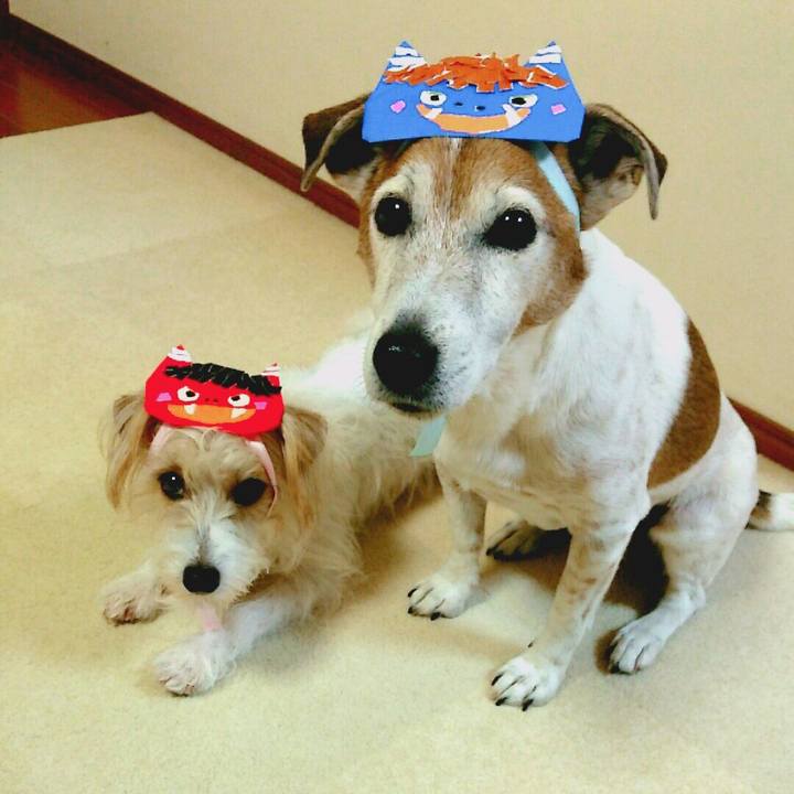 7d857a23 3fbc 4fc3 b594 d40840f2b5e3 1517666754964