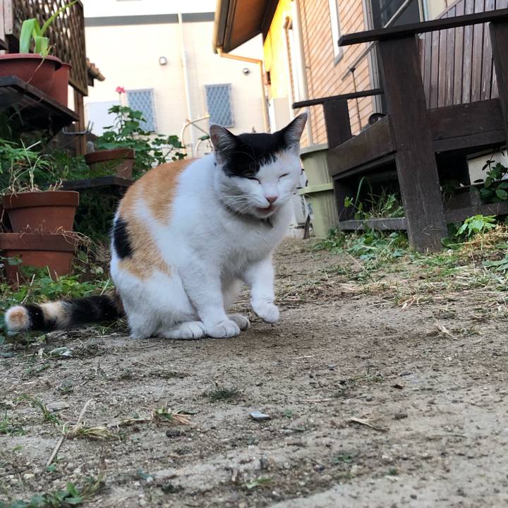 7d859c26 2396 494a af48 6fa94ccc9b51 1636065040686