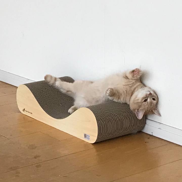 7d85c6f9 4534 4ea7 a2b8 2732d4f1825f 1521506578421