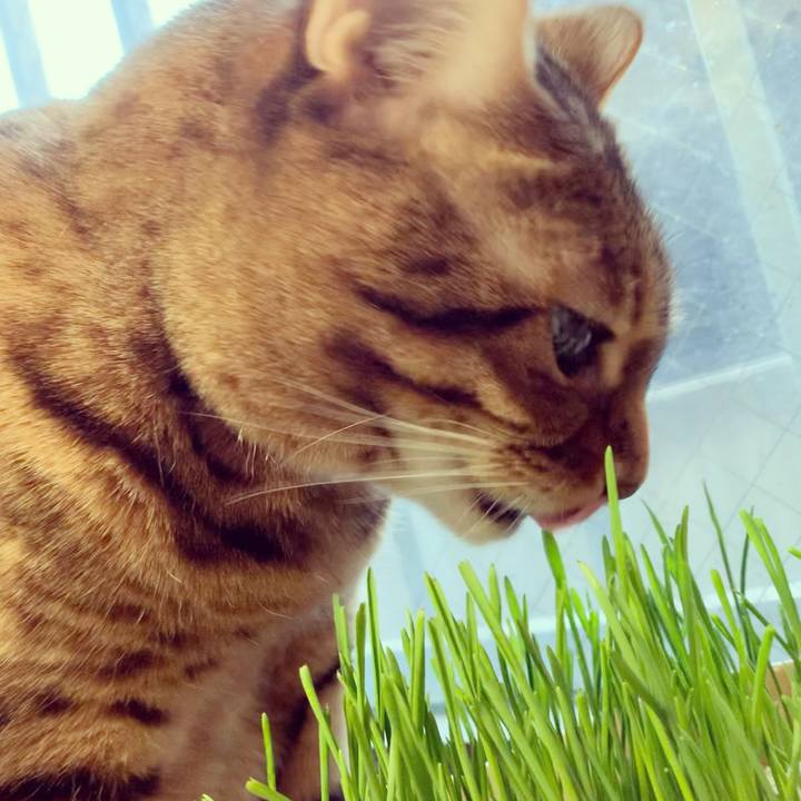 7d85d1a4 f8cc 4695 9a74 3695e33beb7a 1616890135903