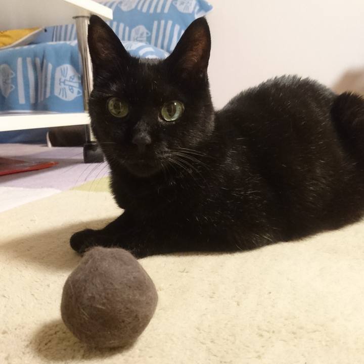 7d85d707 2ab4 47de 8da3 a03ae63cde10 1532606559994