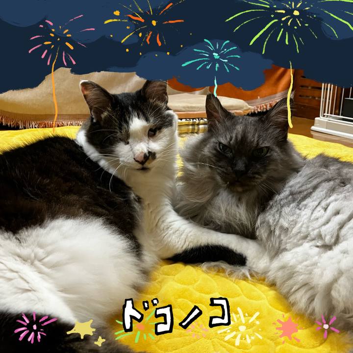 7d860947 20d8 4993 b087 1c92a512fdca 1723651436718