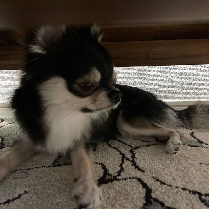 7d862529 d793 41dc 9dd8 bbf9a7c52964 1628998879813