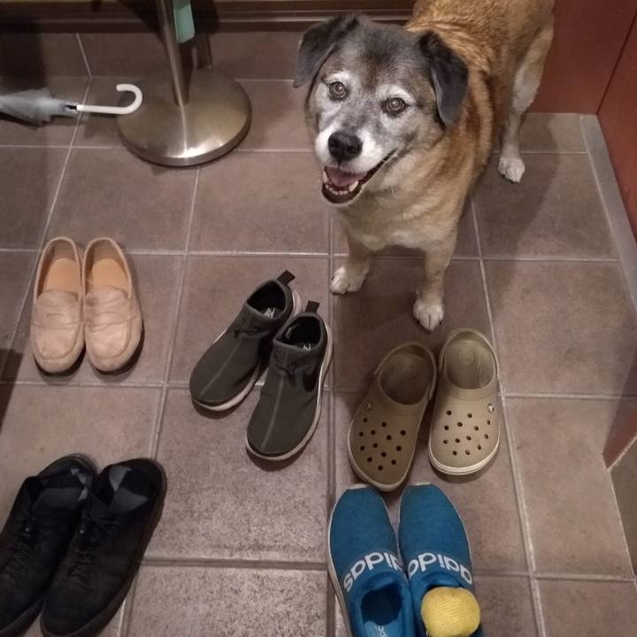 7d8635e4 0950 4992 a800 de2e9bc8e7c9 1560001571982