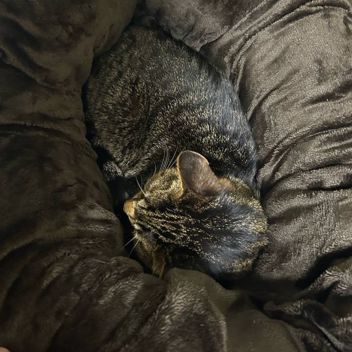 7d863acf 605a 43d6 83e6 1735bc6ef4b1 1732020286139