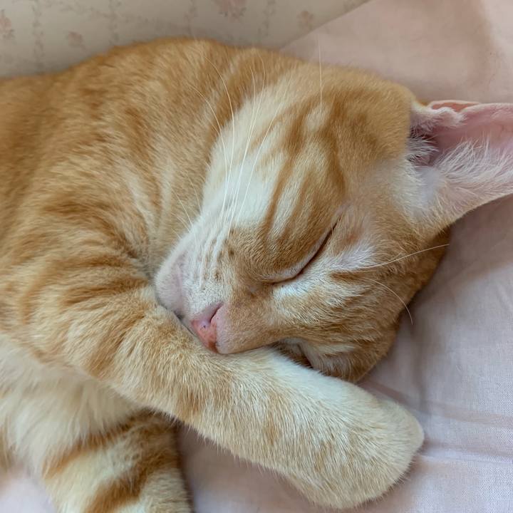 7d867a3a 1166 410c bd00 88dcb9f1febf 1565597478077