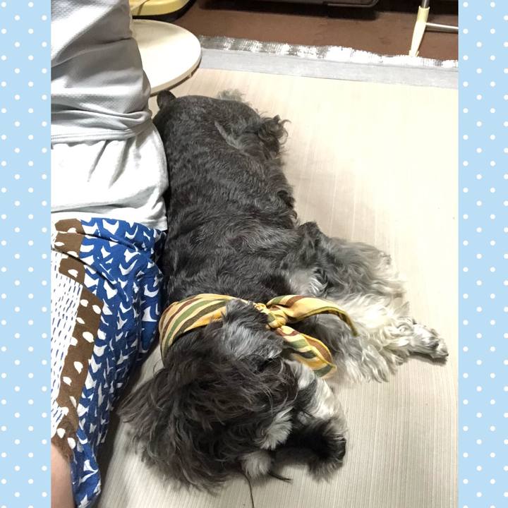 7d868cda 63c9 45f2 b2af 107090ade0e3 1658323125689