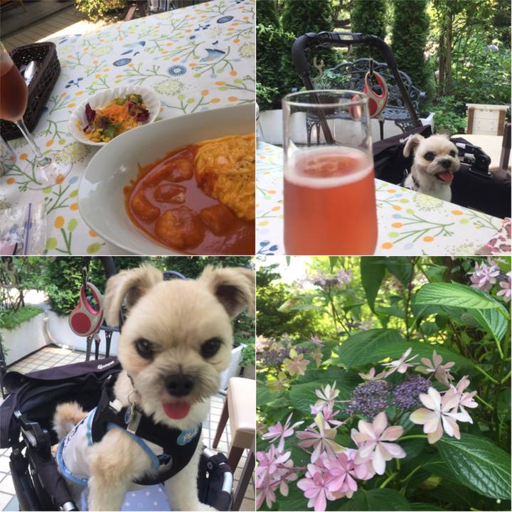 7d86b4e1 6f2d 49ee ac2b 60b1b42a34d0 1530007039735