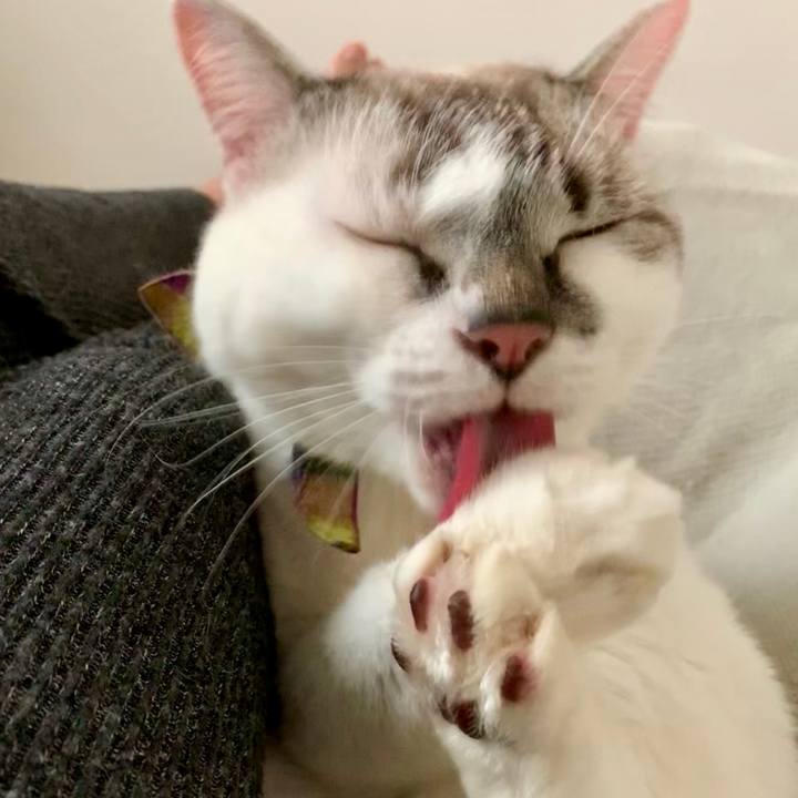 7d86e523 8a4f 4820 b3e3 036264b1236f 1569728122373