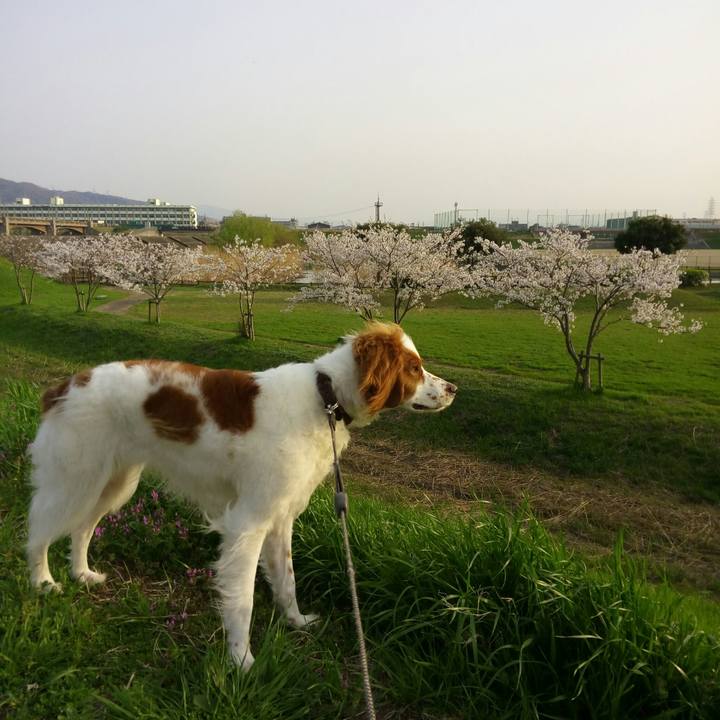 7d86fa40 ca55 4b6e 8e11 32c01cdfc53b 1522487488219