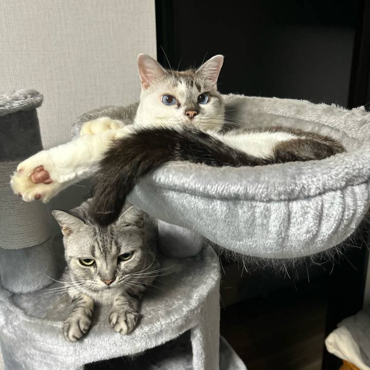 7d8708e5 802d 48ec 82f8 177ff5ccdbf2 1726407363489