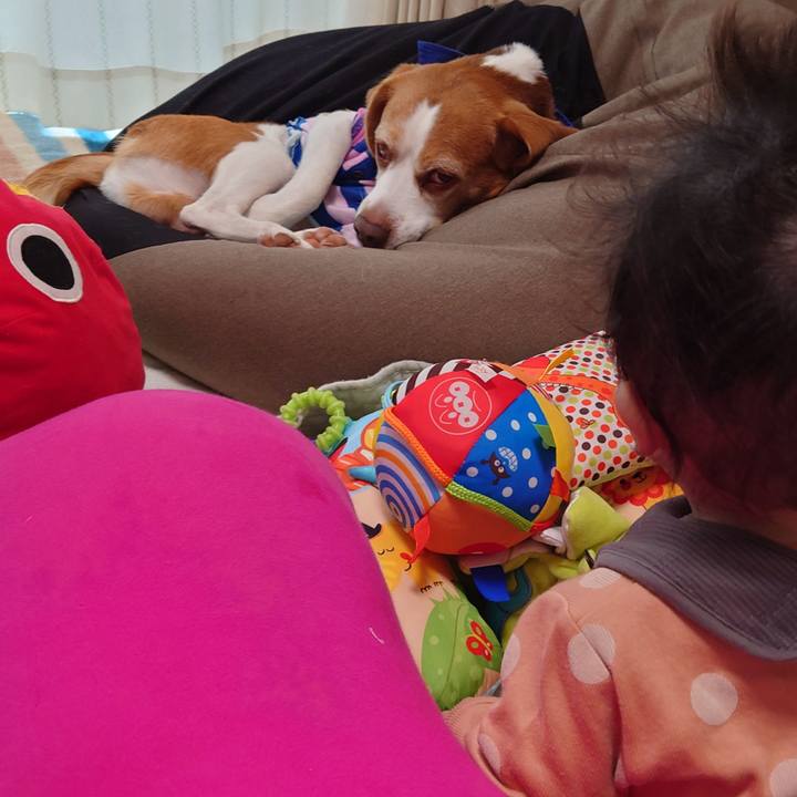 7d873086 9262 4f4e b788 7af39b72c6dd 1665116085091