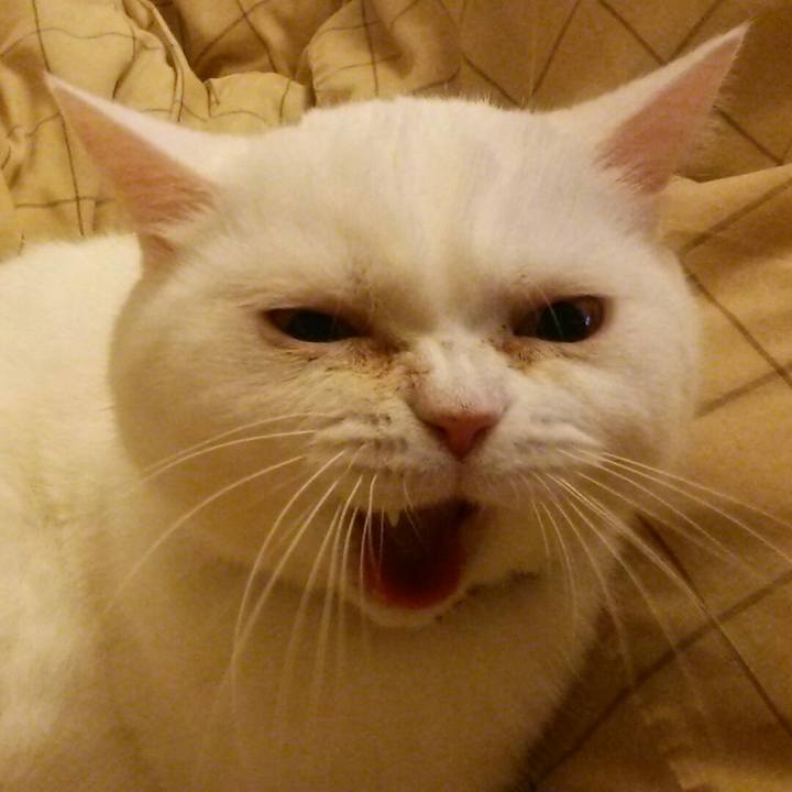 7d875625 39ec 49f8 97b1 6e98b33414bb 1526293598073