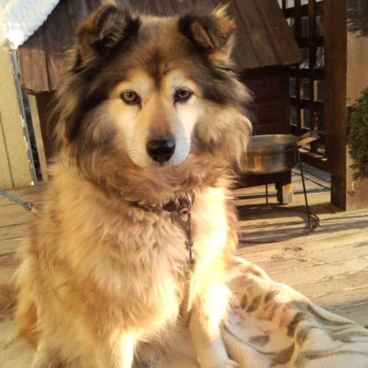 7d875882 01a1 4482 93b4 2b25192152ff 1602144528495