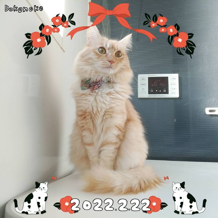 7d8776f4 f7ff 4200 951c 8374d5974f7e 1645489938454