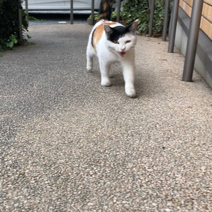 7d87dfac 3464 447f aa72 ac389df78fd8 1603923515618