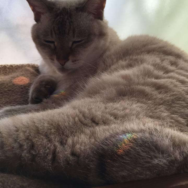 7d88362f edb0 4160 bd25 a2ba7850401b 1540011560351