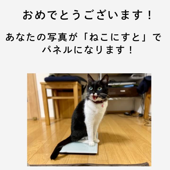 7d885d6d 4eac 4971 9dac 50916716549d 1622780234378