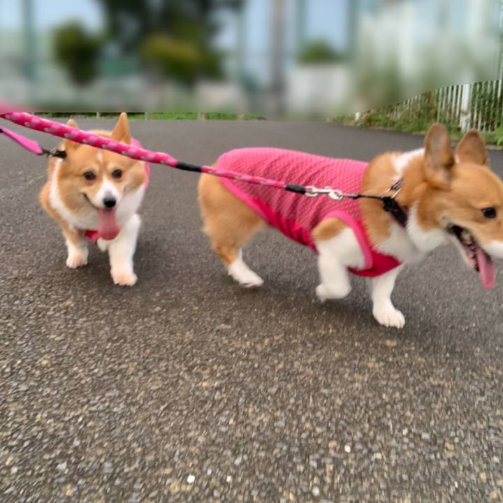 7d889edf 25e8 447c 8e0d 791b735ad9b2 1594375956175