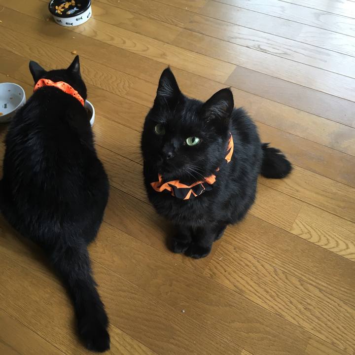 7d88b6c5 eb9d 4283 afef 52a84452f5f6 1538261286014