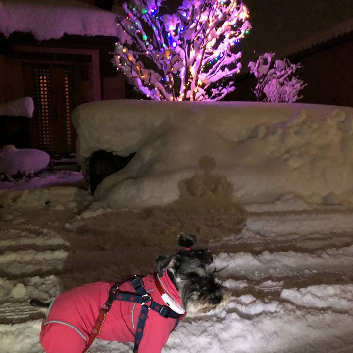 7d896c0e 235e 4adf 84c7 7148beccb93f 1613647858164