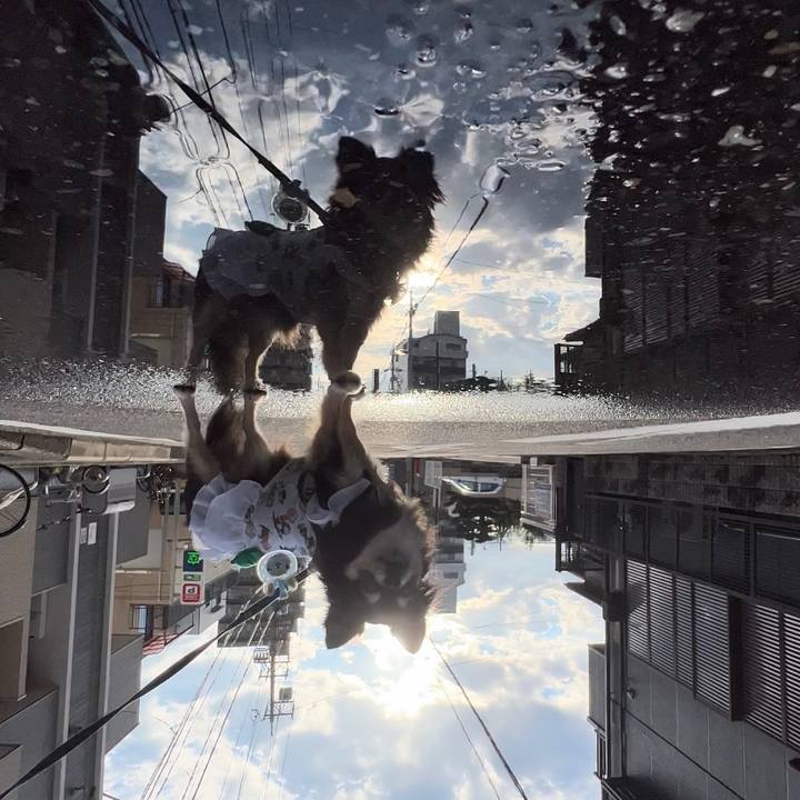 7d897000 865f 43f5 8164 70f59f47664e 1693089870438