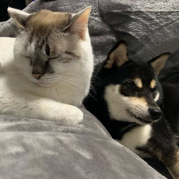 7d89862c cc13 419f a278 0ef30a461282 1673240005679